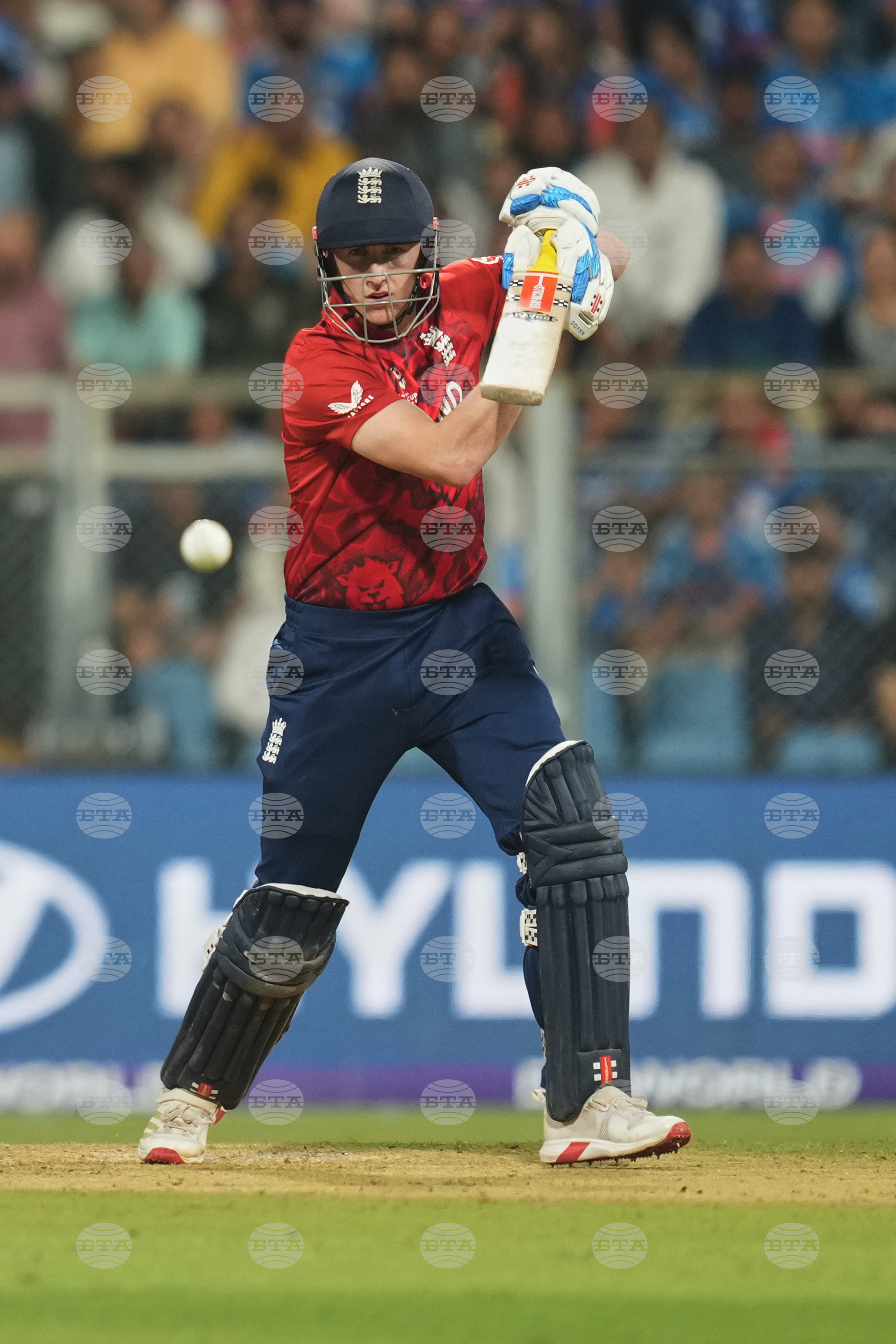 India England T20 WCup Cricket