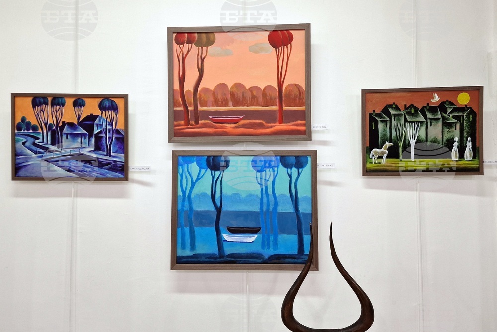 Монтана - изложба - Николай Пенков