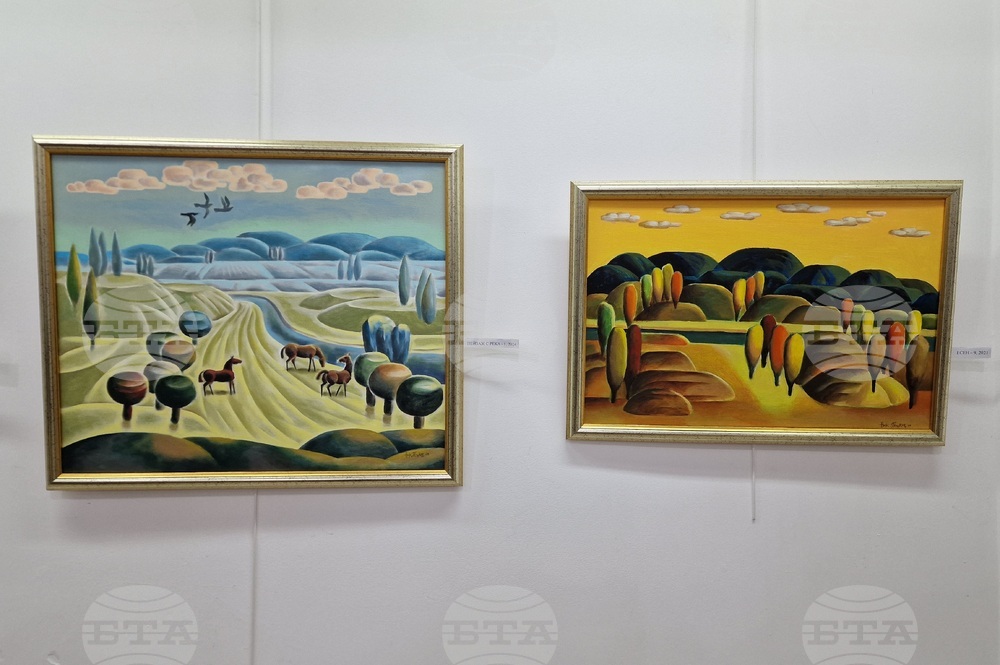 Монтана - изложба - Николай Пенков