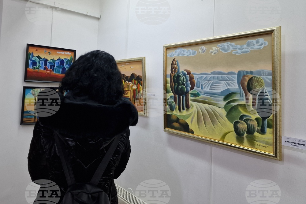 Монтана - изложба - Николай Пенков