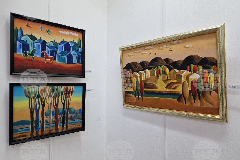 Монтана - изложба - Николай Пенков