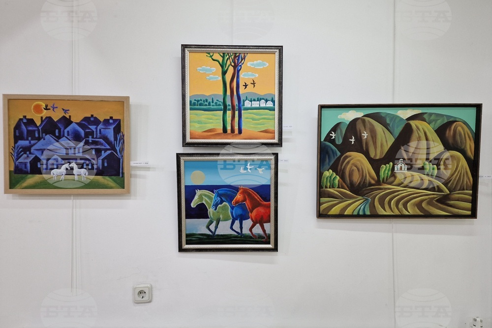 Монтана - изложба - Николай Пенков