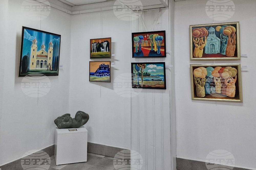 Монтана - изложба - Николай Пенков