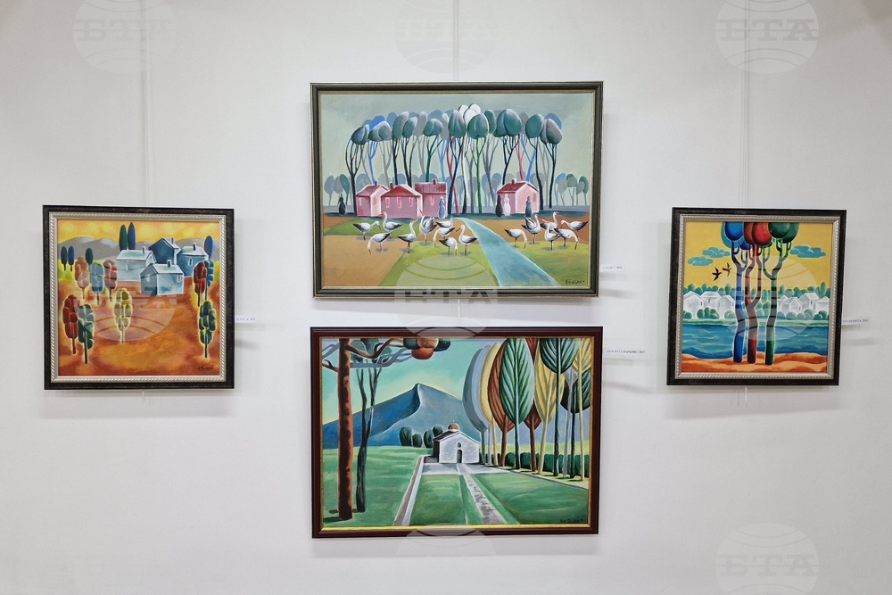 Монтана - изложба - Николай Пенков