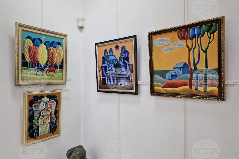 Монтана - изложба - Николай Пенков