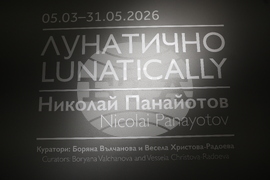 Николай Панайотов - изложба