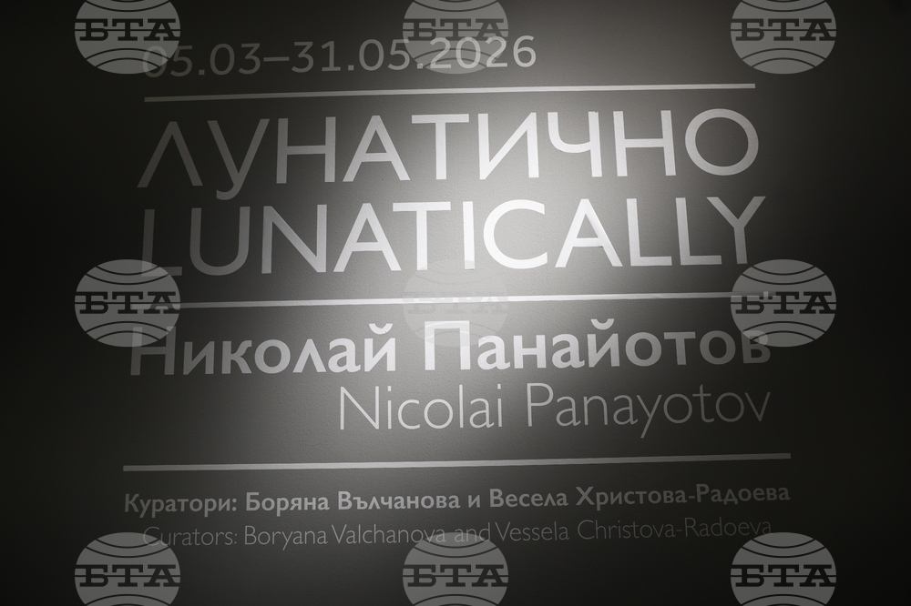 Николай Панайотов - изложба