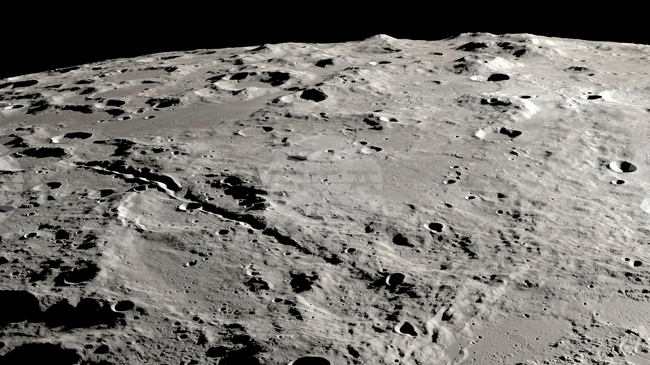 Учени отгледаха нахут в лунна „почва" с помощта на торни червеи и гъби