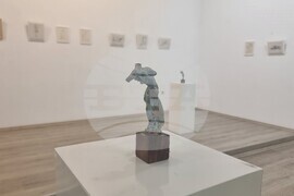 Плевен - Митко Събев - изложба