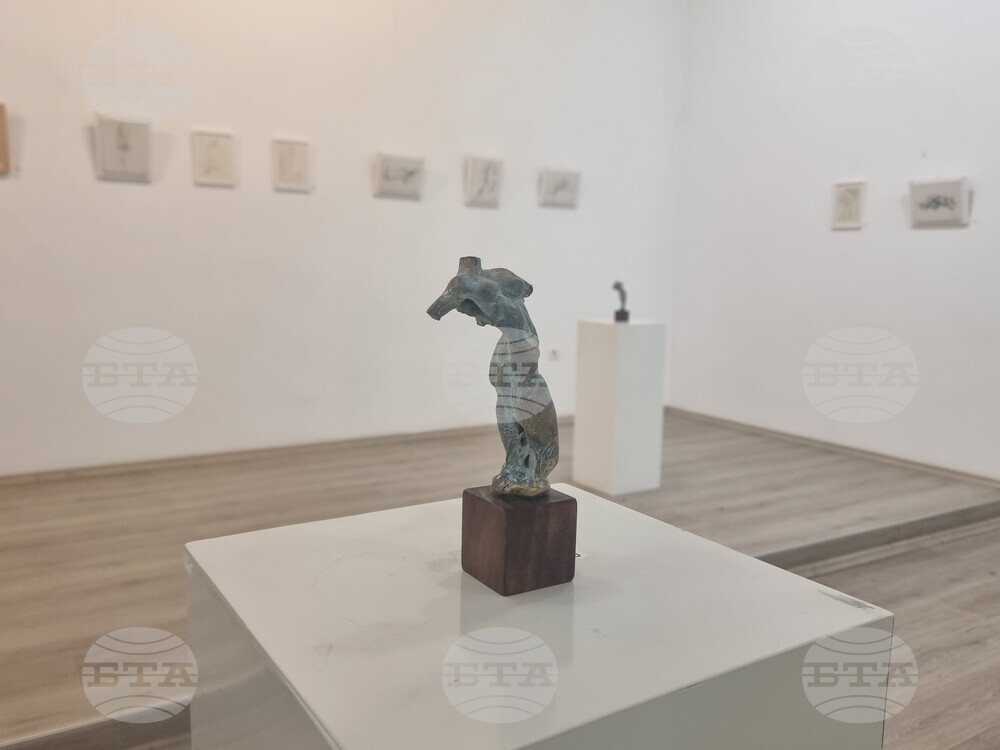 Плевен - Митко Събев - изложба