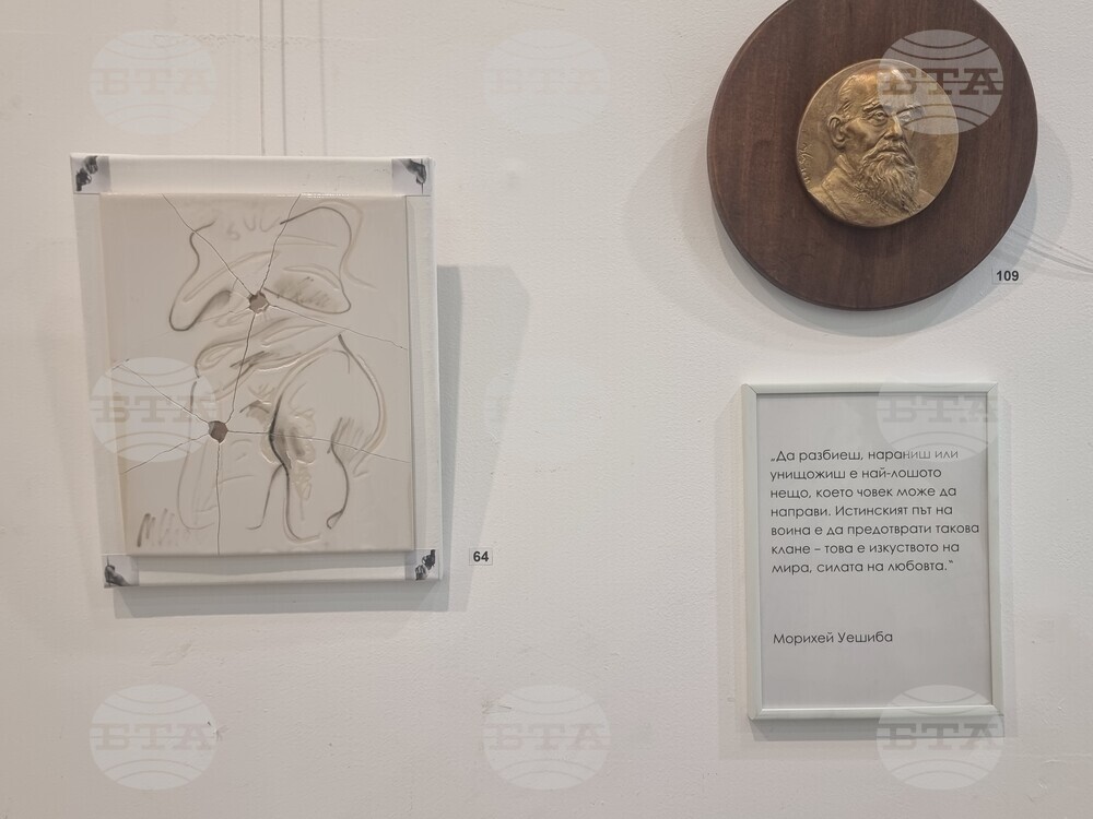 Плевен - Митко Събев - изложба