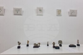 Плевен - Митко Събев - изложба