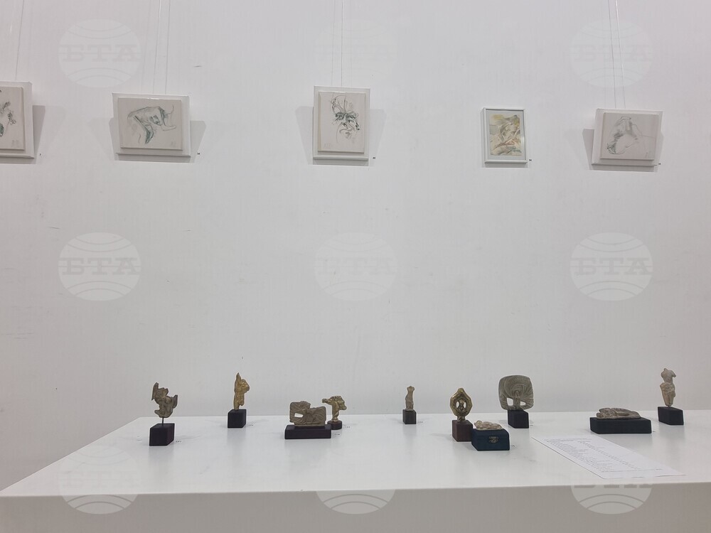 Плевен - Митко Събев - изложба