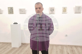 Плевен - Митко Събев - изложба