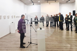 Плевен - Митко Събев - изложба