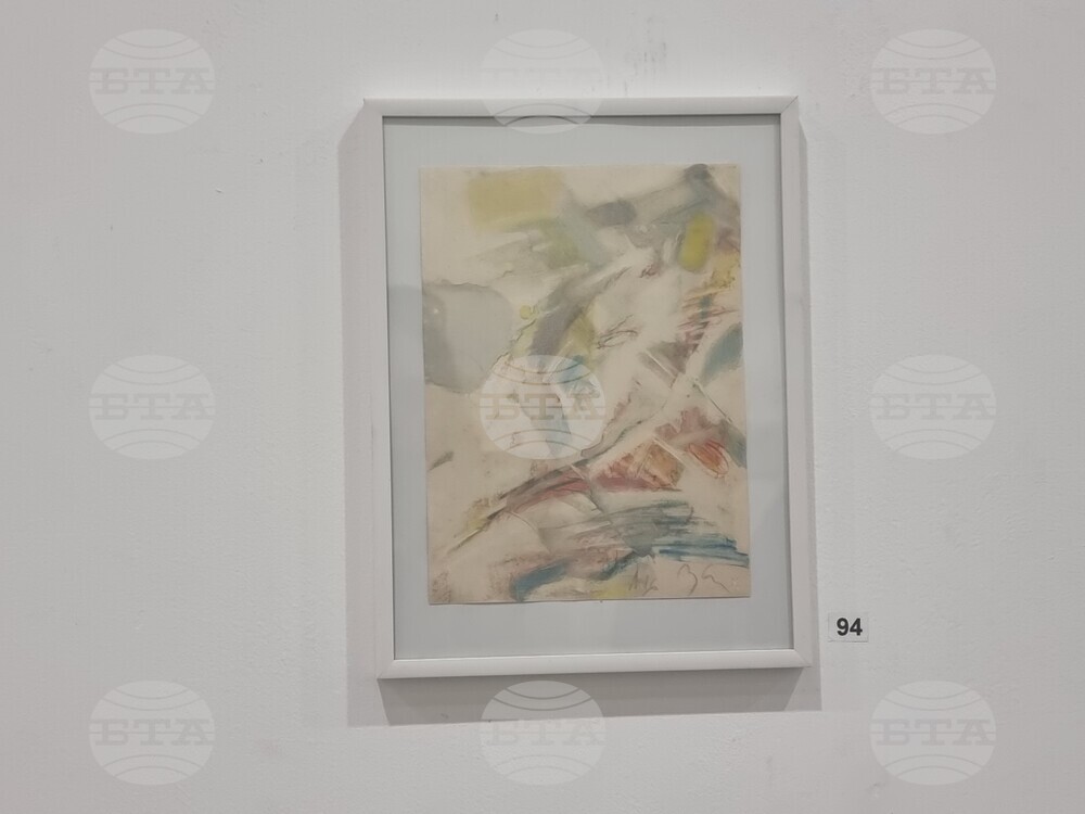 Плевен - Митко Събев - изложба