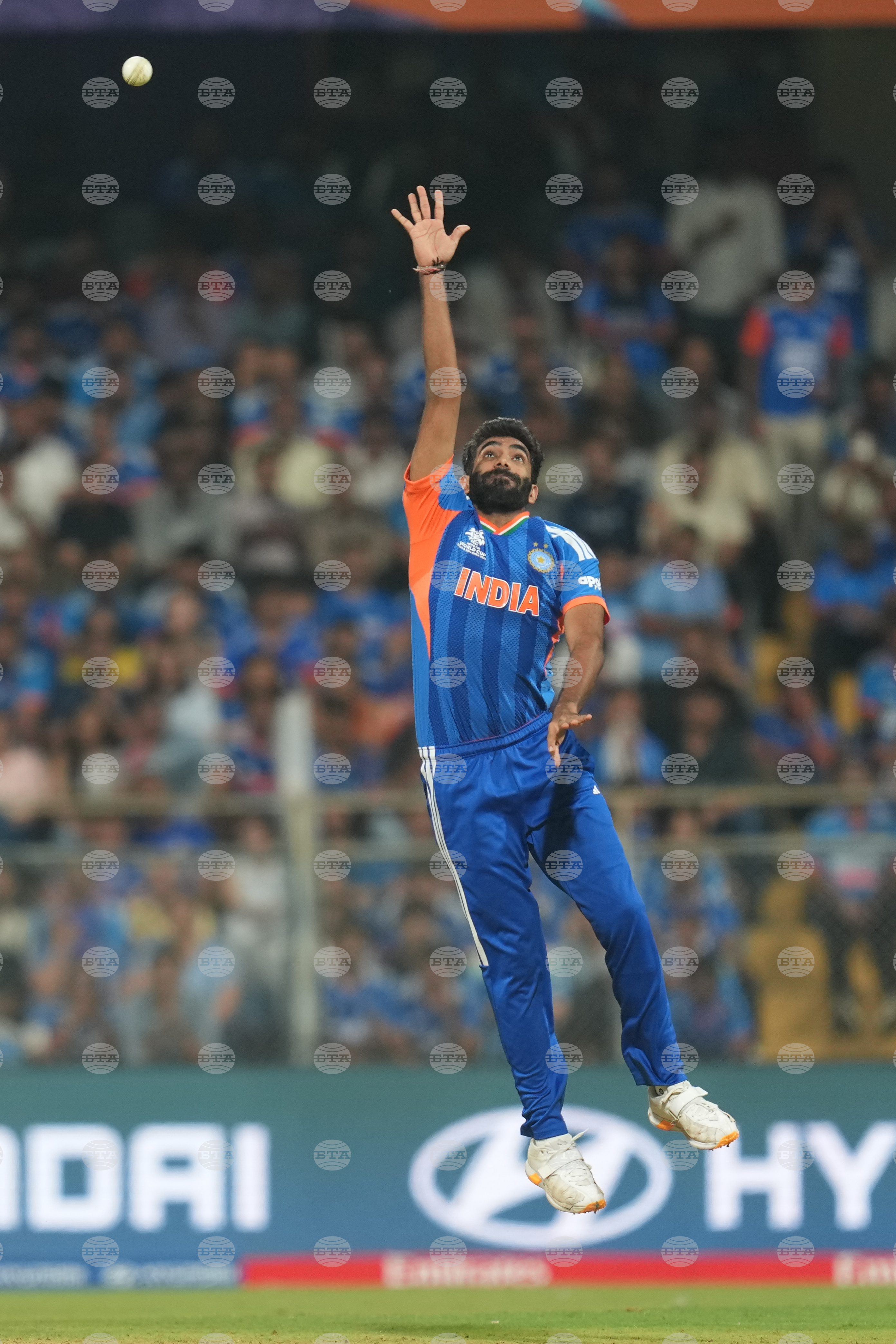 India England T20 WCup Cricket