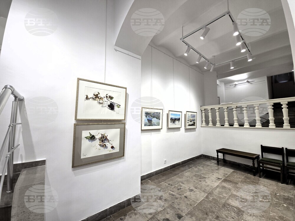 Сливен - „Мигновение“ - изложба