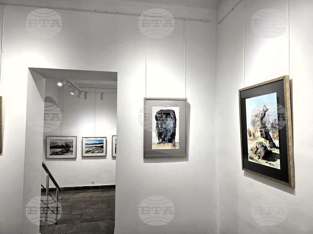 Сливен - „Мигновение“ - изложба