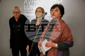 Николай Панайотов - изложба