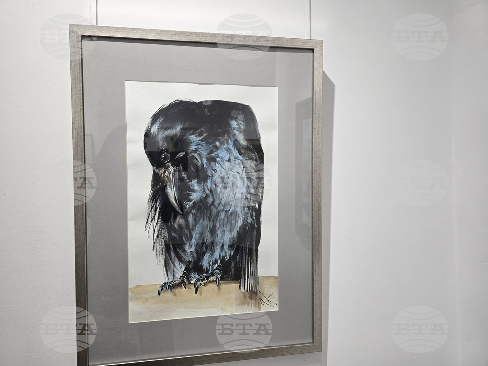 Сливен - „Мигновение“ - изложба