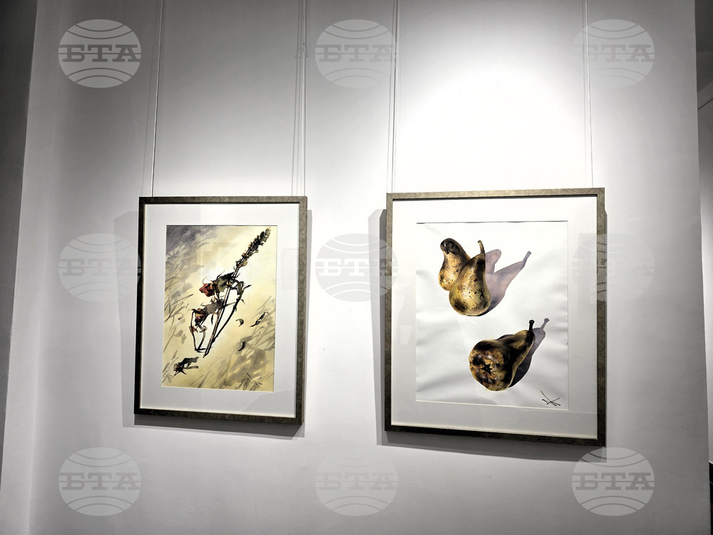 Сливен - „Мигновение“ - изложба