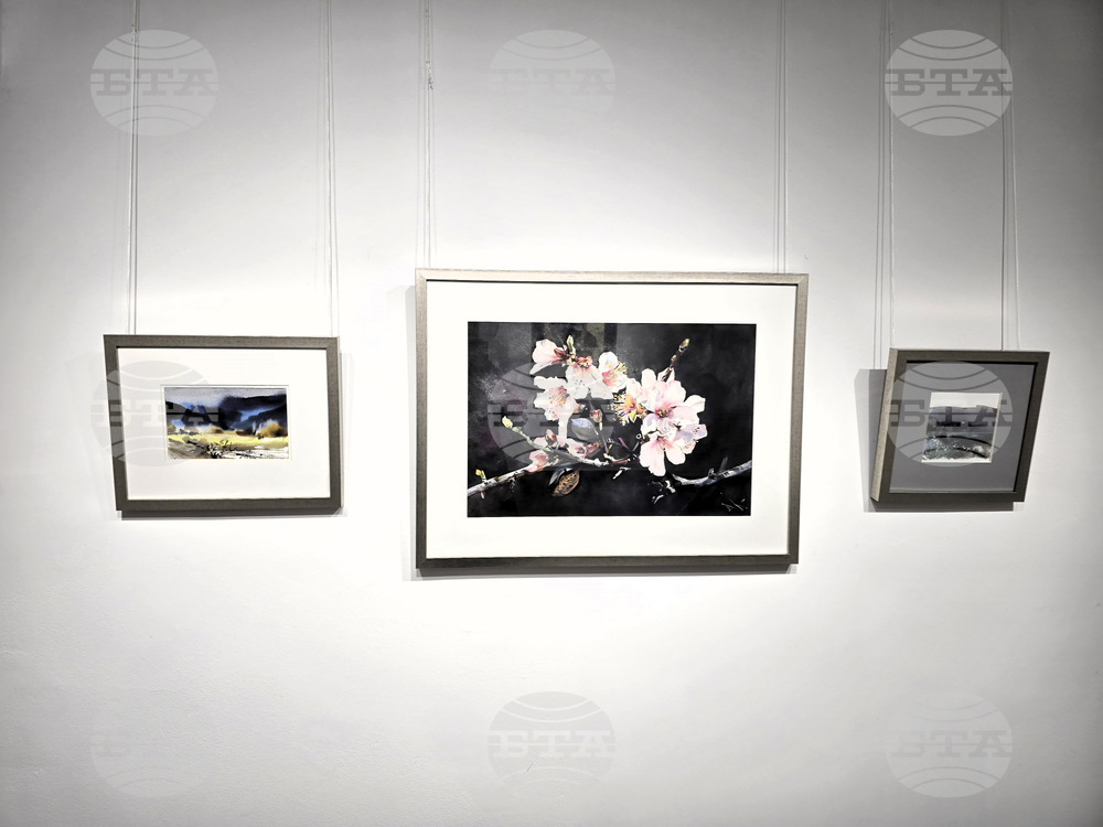 Сливен - „Мигновение“ - изложба