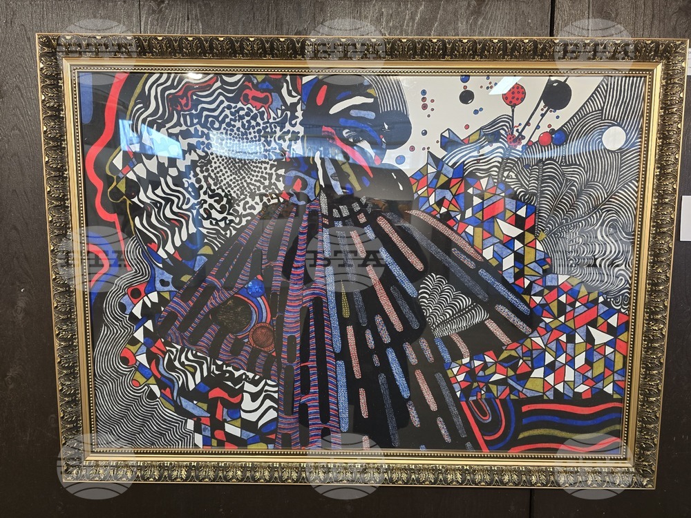 Свищов - изложба концерт - Гергана Попова