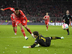 Germany Soccer Bundesliga