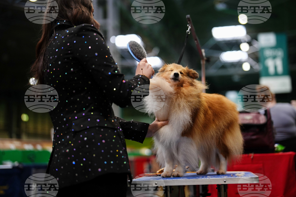 Crufts Dog Show