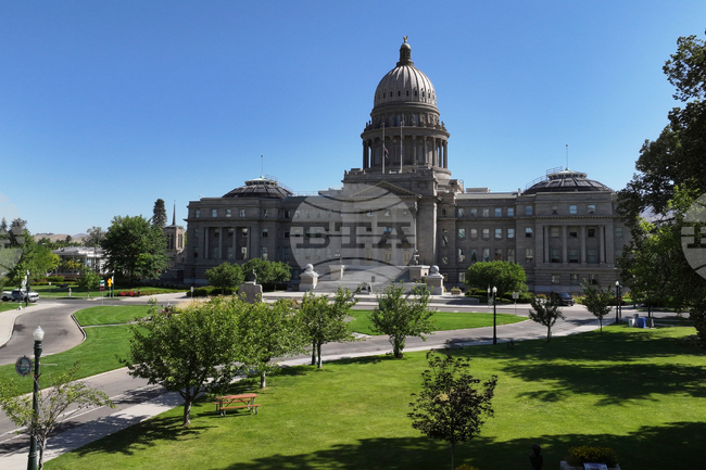 Guarded by Predators