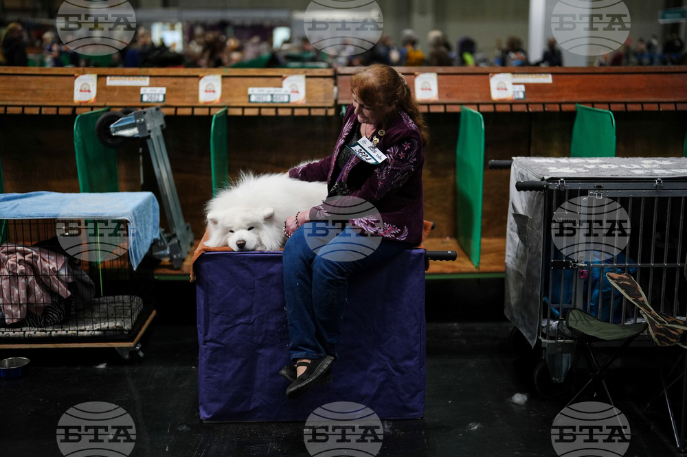 Crufts Dog Show