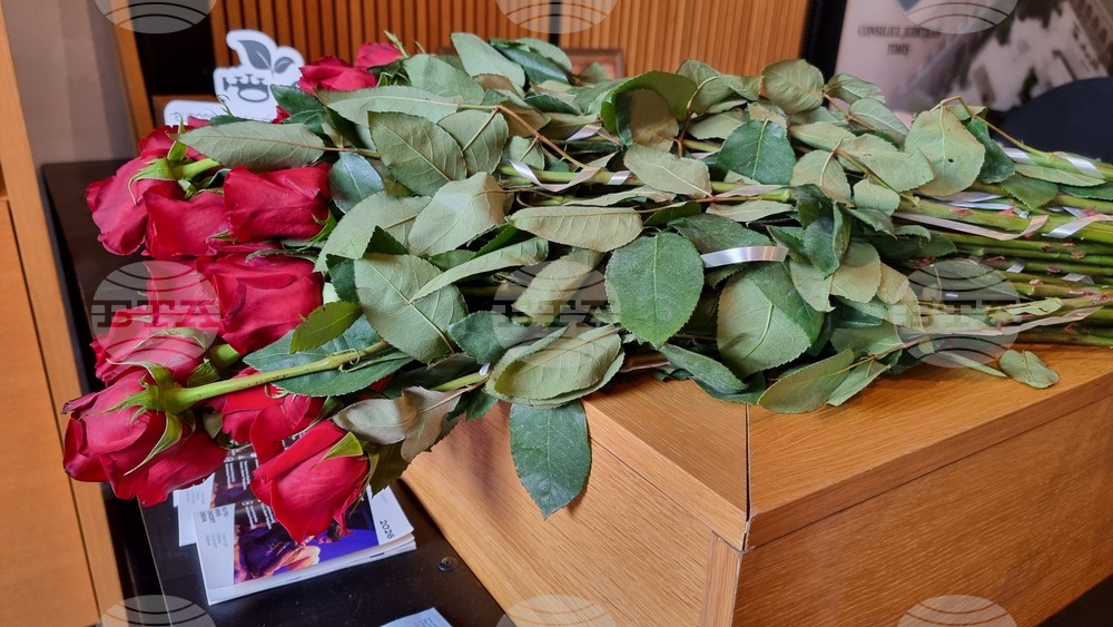 Тимишоара - 3-ти март - честване