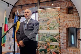 Тимишоара - 3-ти март - честване