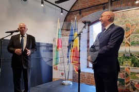 Тимишоара - 3-ти март - честване