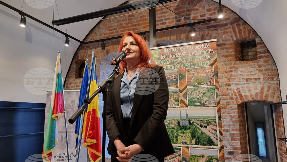 Тимишоара - 3-ти март - честване