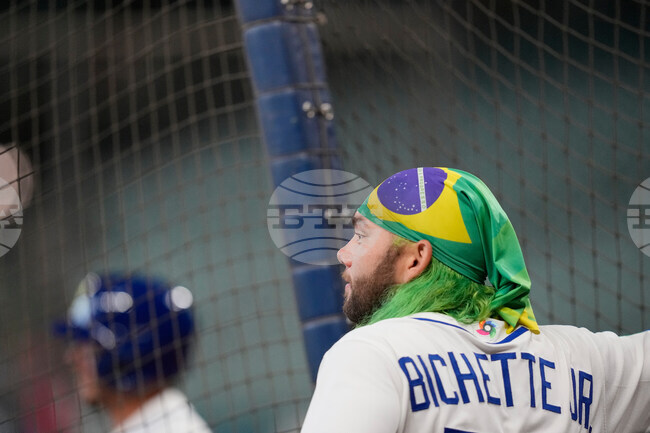 WBC Brazil Baseball