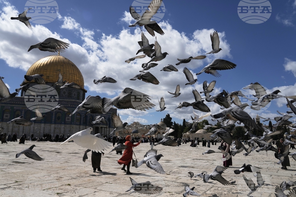 Pictures of the Week Global Photo Gallery