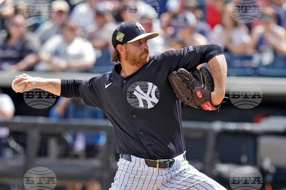 Twins Yankees Baseball