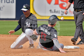 Twins Yankees Baseball