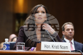 Congress Homeland Security