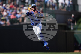 Diamondbacks Cubs Spring Baseball