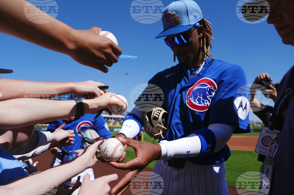 Diamondbacks Cubs Spring Baseball