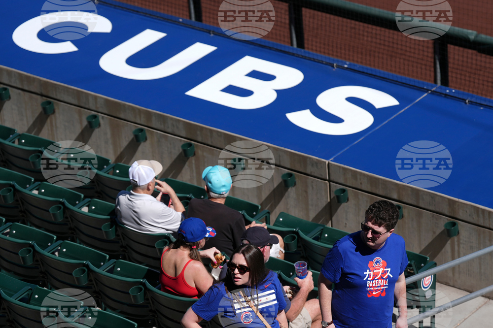 Diamondbacks Cubs Spring Baseball