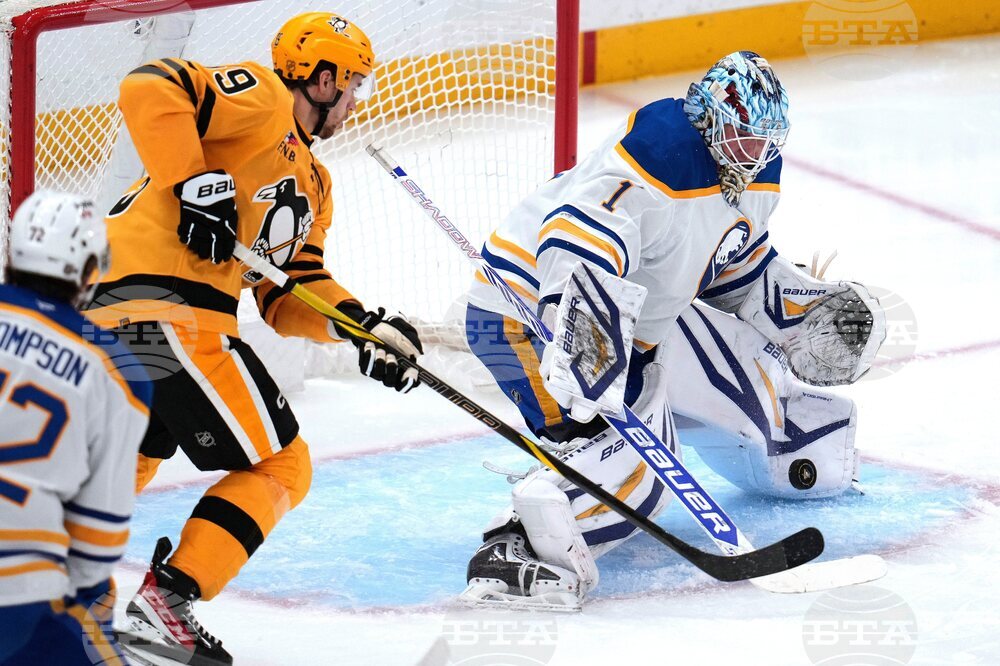 Sabres Penguins Hockey