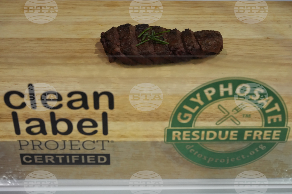 Beyond Meat Name Change