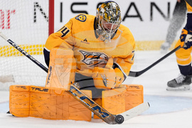 Bruins Predators Hockey