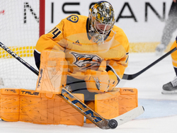 Bruins Predators Hockey