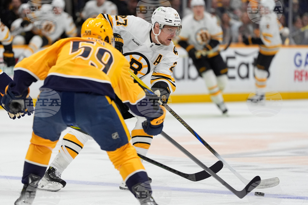 Bruins Predators Hockey