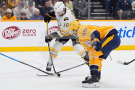 Bruins Predators Hockey